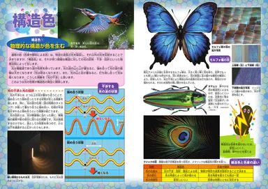 ずかん「色」(技術評論社)　構造色