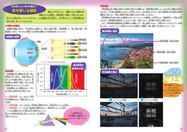ずかん「色」(技術評論社)　色を感じる人体の仕組み