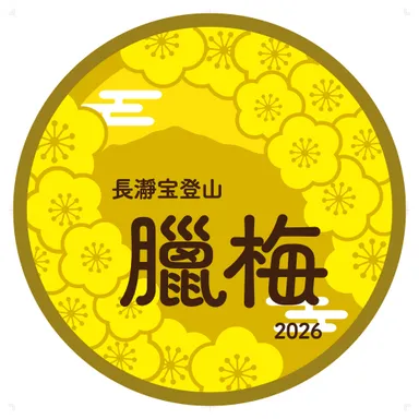 特別ヘッドマーク　イメージ