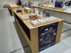 現地写真1