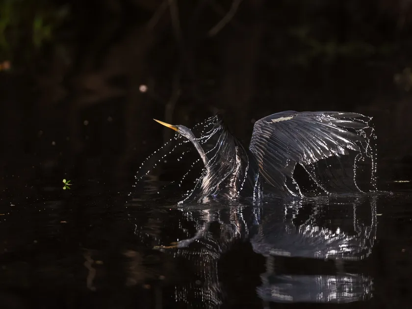 CREATIVE & DIALOGUE no.4