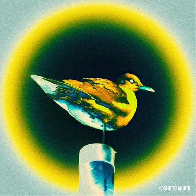 Apa award 2026 写真部門