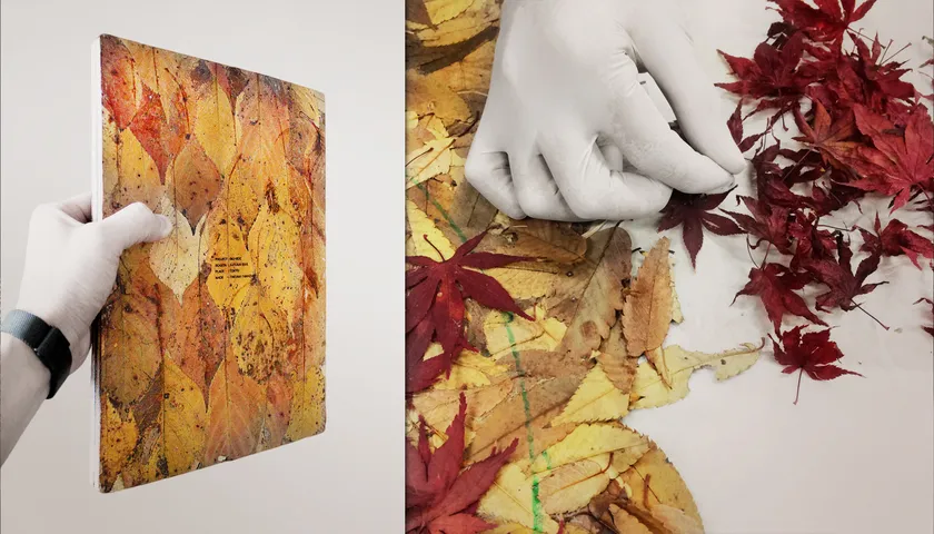 Bio-Vide(バイオ・バイド)