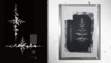 PromPlant(R) - HeartBeat Series