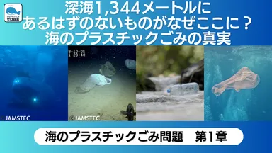 サムネイル海01