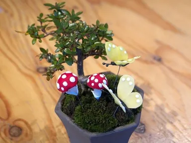 イベントイメージ画像2