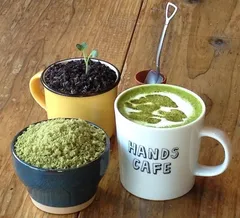 盆栽カフェメニュー