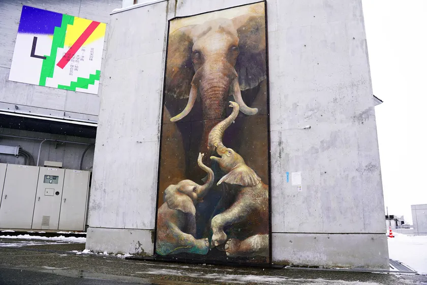 昨年度の展示の様子