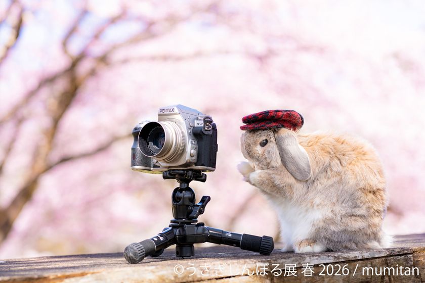 祝10周年「うさぎしんぼる展」が過去最大規模で名古屋開催決定！
2月28日(土)～ 新作＆限定グッズの展開や
3月3日“うさぎの日”限定イベントなど見どころ満載