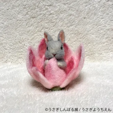 グッズ：うさぎようちえん