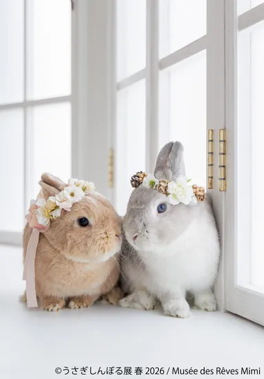 展示作品：Musee des Reves Mimi