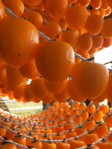 福島県　あんぽ柿