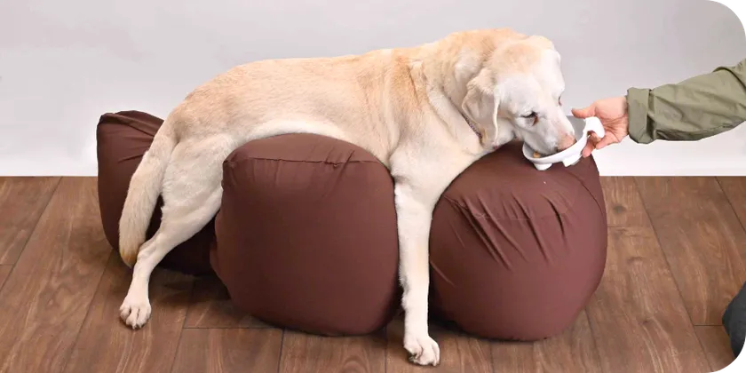 リラクッション