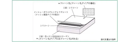 「テルダーミス」の構造