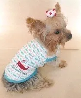 サマープリントTシャツイメージ