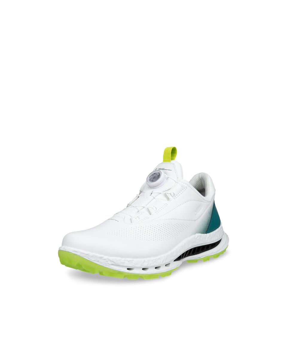 ゴルフ新作 「ECCO GOLF BIOM C5(エコー ゴルフ バイオム シー5)」が