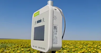 ヒマワリ畑に設置されたe-kakashi