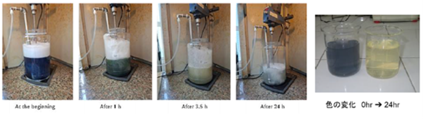WEF技術開発、ベトナムで活性酸素技術利用広がる