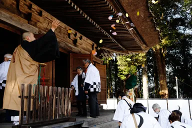 華葩を散華すると花吹雪みたいで幻想的。