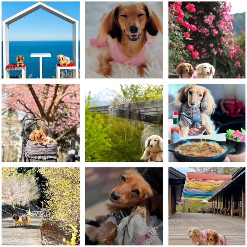 ペットツーリズム特化マーケティング企業・株式会社犬旅、
「長野を代表する企業100選」に選出