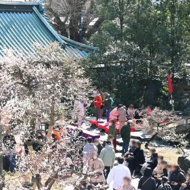 湯島天神梅まつり1