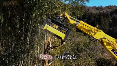 【CM】『タケカルゴンのゴンも、やっぱりロマン 篇』