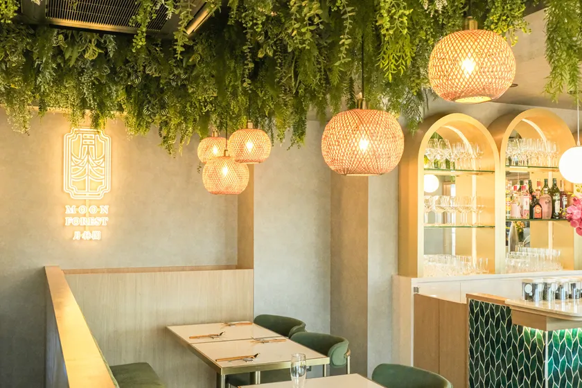 月と森の空間の店内