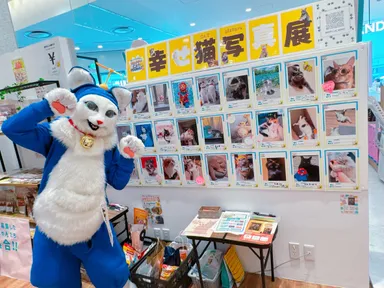 HAPPY CAT MARKETが大切にする世界観