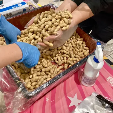 莢煎落花生 両手すくいどり