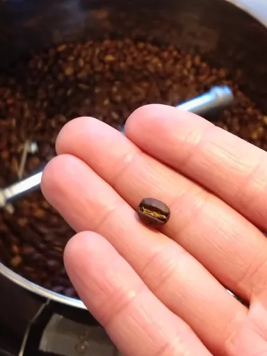 TOSACO「UKIKIコーヒーポーター」3