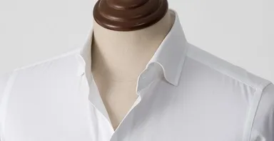 エレガントな襟