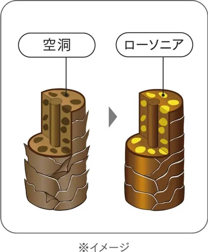 特徴4. ヘンナ葉エキス配合