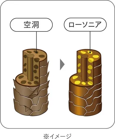 特徴4. ヘンナ葉エキス配合