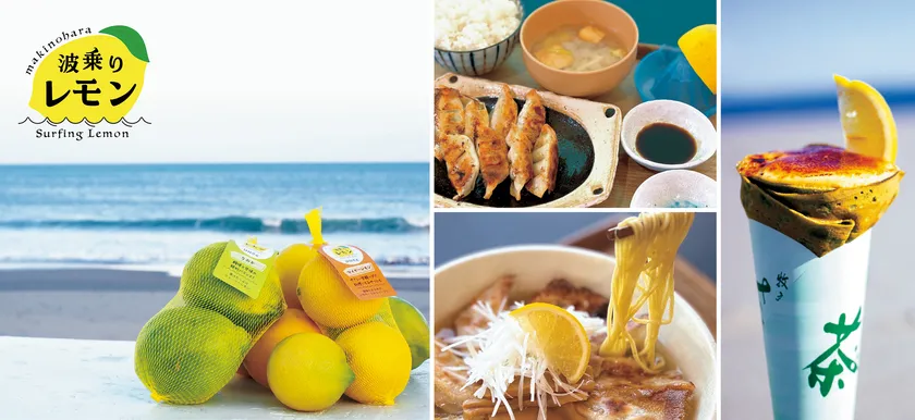 “波乗りレモンフェア”を2026年2月7日(土)～2月23日(月・祝)の期間で開催！