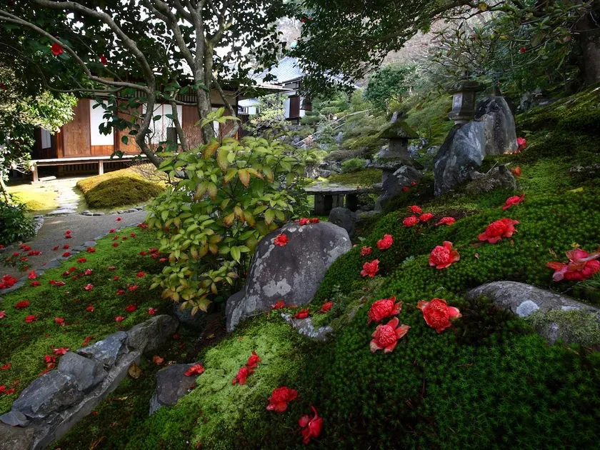庭園