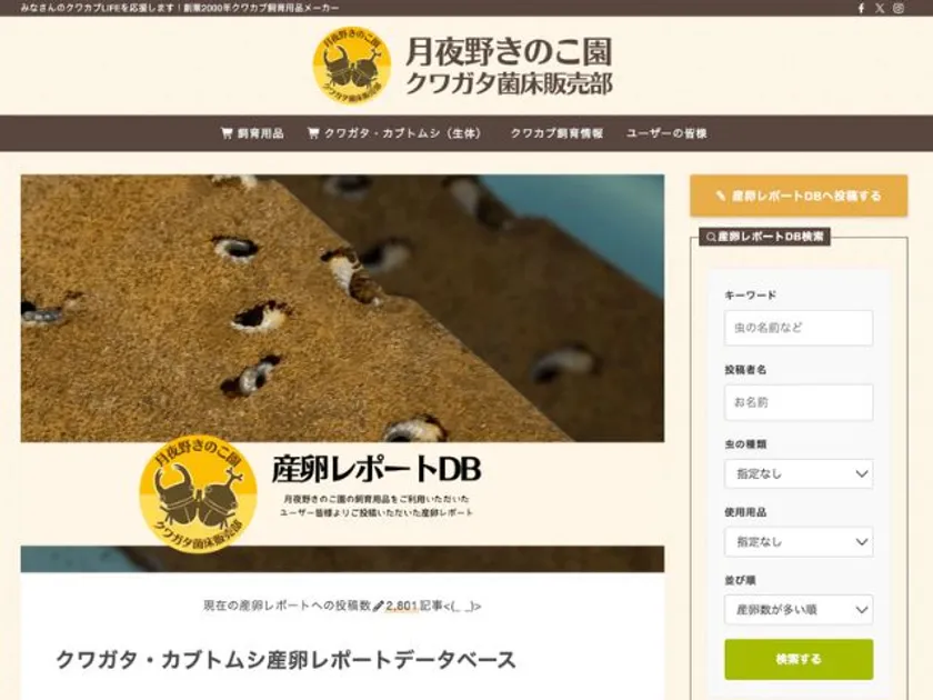 産卵レポート