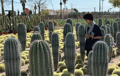 空間デザインに使用する植栽を現地で自ら選定(スペイン・アンダルシア地方)