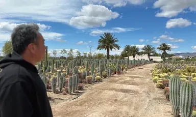 岡田社長自らプラントハンターとなり、世界中から選び抜いた植栽を直輸入