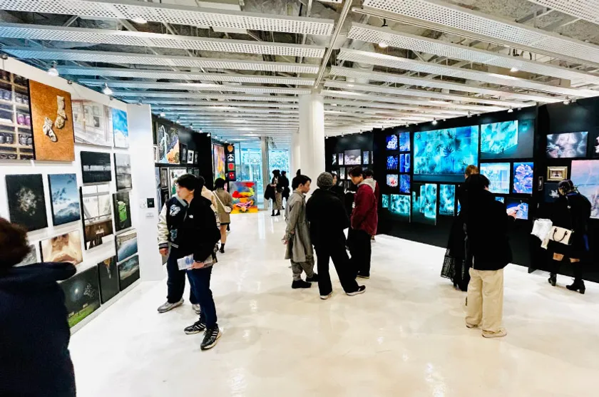 昨年の卒業・修了制作展の様子 デザイン学科 イラストレーション領域