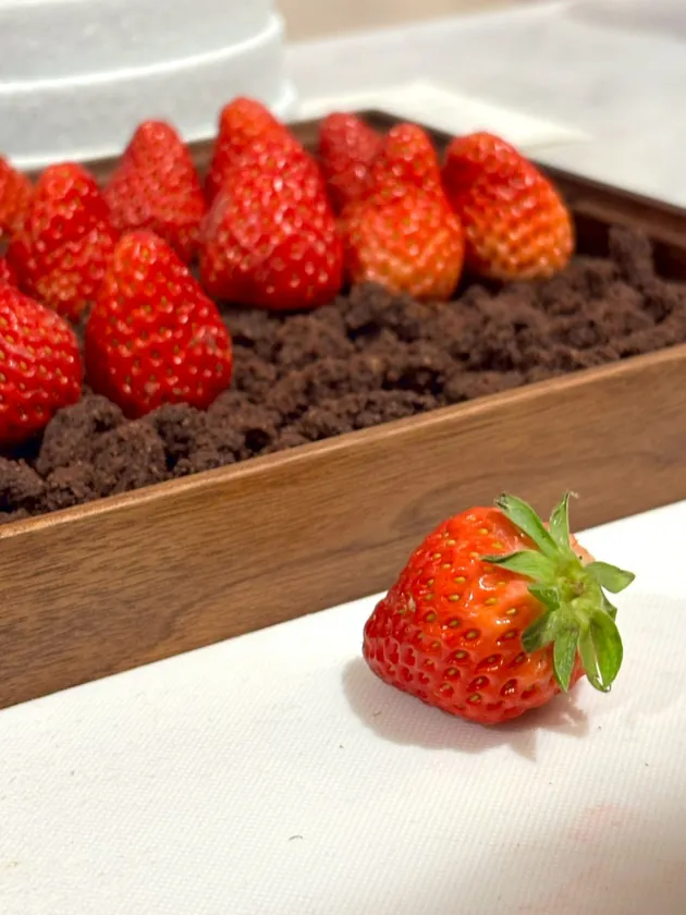 今が旬の苺を各種ご用意