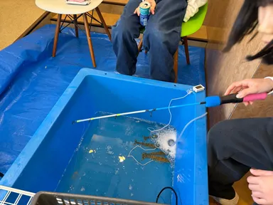 海老釣り体験の様子(1) ※写真は車海老