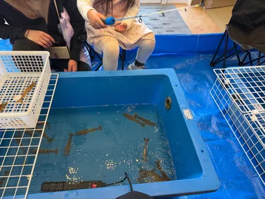 海老釣り体験の様子(2) ※写真は車海老