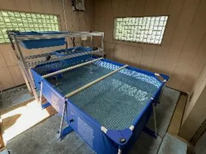 木古庭揚水ポンプ所養殖設備
