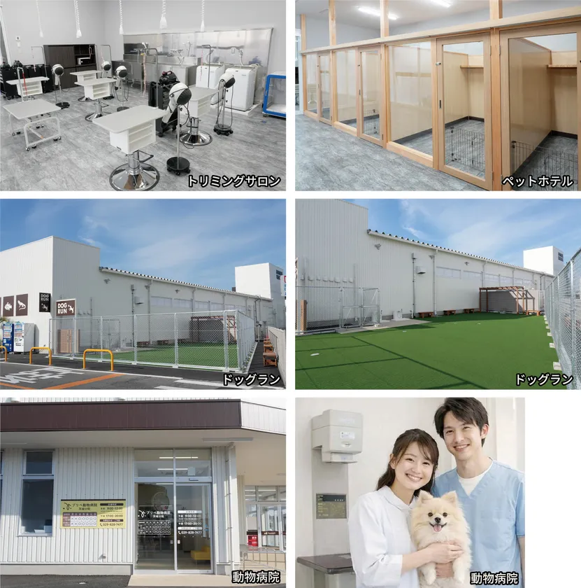 多様なサービス、豊富な生体取り扱いで快適なペットライフをサポート