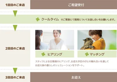 「CLOVER STEP」ご希望からお迎えまでの流れ