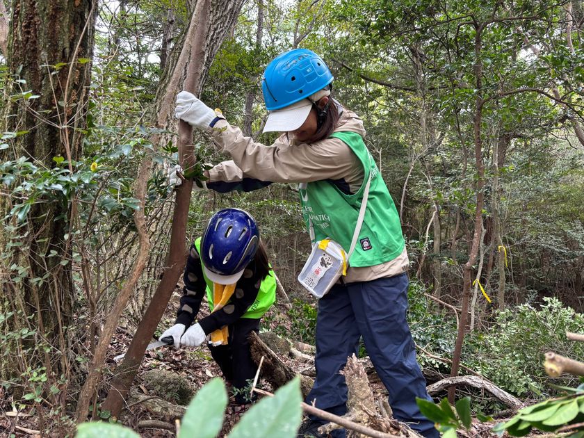 2026年4月 兵庫県にて「六甲山の森づくり」開催決定