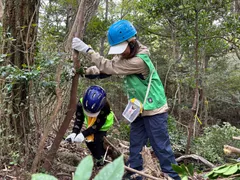 大きなのこぎりを手に本格的な森づくりに挑戦