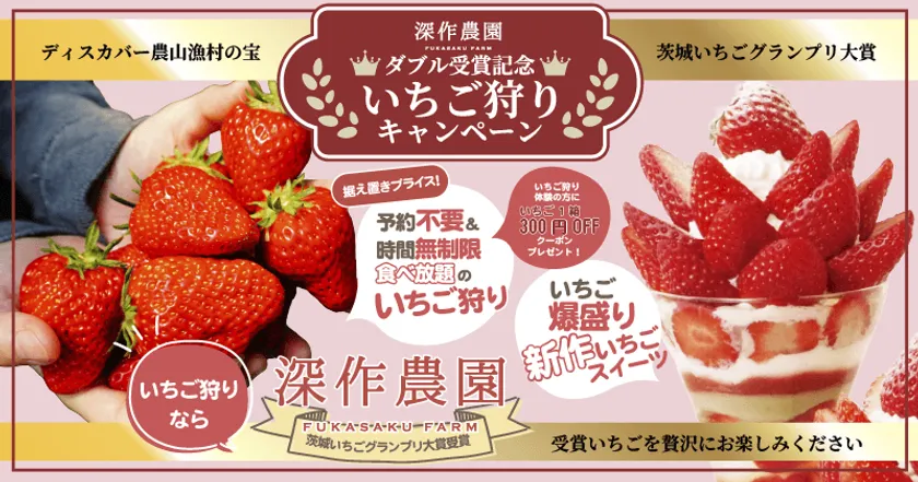 深作農園ダブル受賞記念いちご狩りキャンペーン