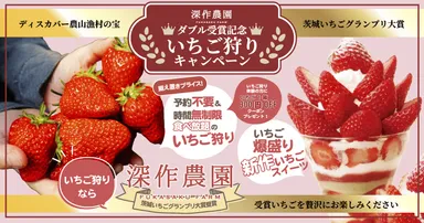 深作農園ダブル受賞記念いちご狩りキャンペーン