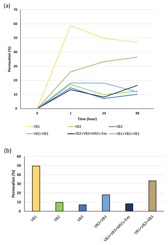 VBの皮膚透過率を検証するための配合元素の検出(図4)